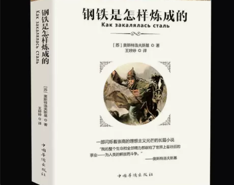钢铁是怎样炼成的初中 原著版无删减全译本 ...
