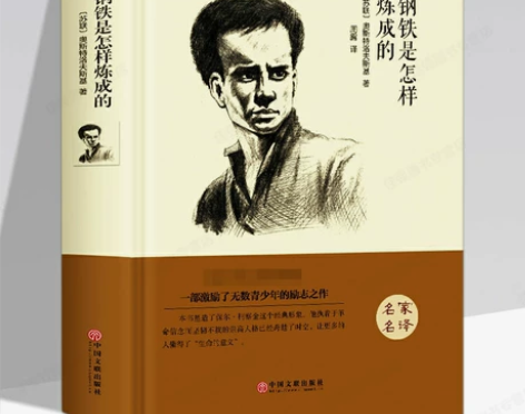 钢铁是怎样炼成的 世界名著全译本 精装原版...