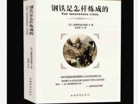 钢铁是怎样炼成的初中 原著版无删减全译本 ...
