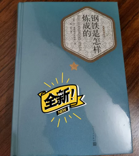 《钢铁是怎样炼成的》 感兴趣的话点“我想要...