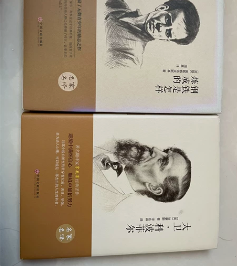 百年经典 钢铁是怎样炼成的 原著正版奥斯特...