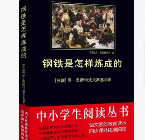 钢铁是怎样炼成的 2020语文推荐读物目录...
