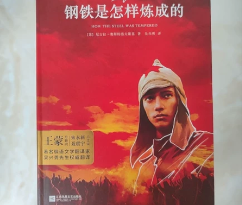 《钢铁是怎样炼成的》世界经典文学名著 中学...
