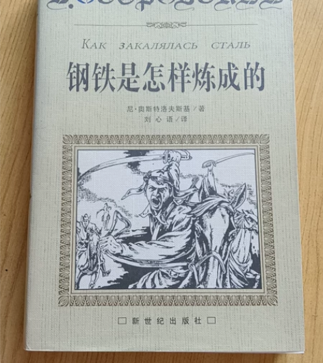 钢铁是怎样炼成的，1998年版，刘心语翻译...