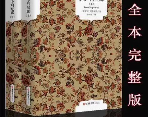 安娜卡列尼娜完整版上下2册全译本中文版列夫...