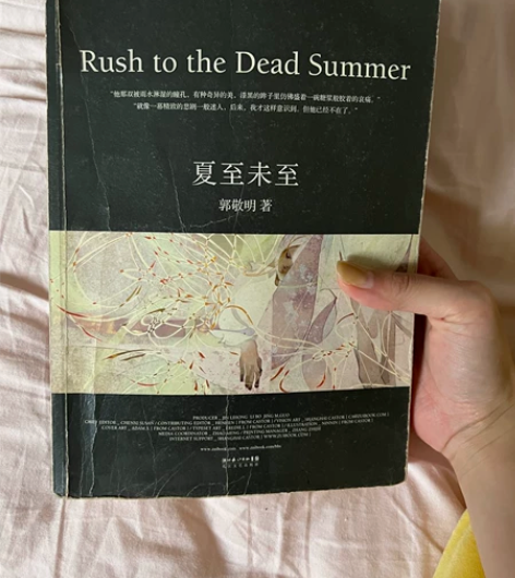 夏至未至郭敬明的，2011年买的，高中看了...