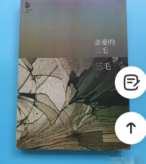 亲爱的三毛 北京十月文艺出版社 三...