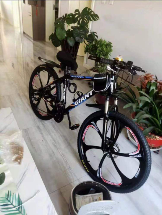 捷安特山地车自行车男女中青年学生变速单车减...