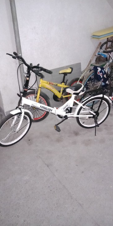 折叠自行车，要的私聊自提，在新昌茶市旁边