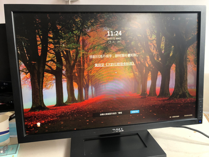 戴尔/DELL 显示器，22寸显示器，型号...