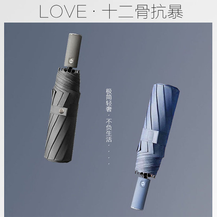 德国十二骨全自动雨伞男士抗风大号加固折叠晴...