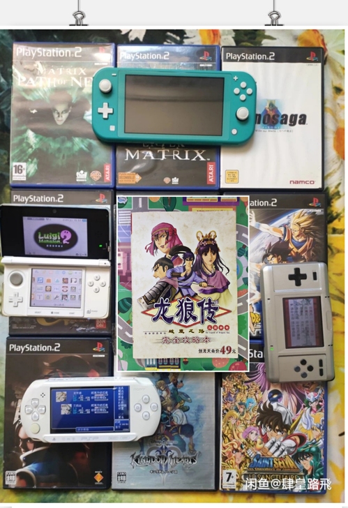 PC电脑游戏 龙狼传 特典