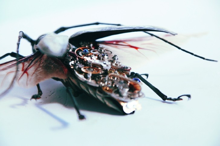 朋克机械昆虫 蒸汽昆虫 昆虫标本 天牛标本...