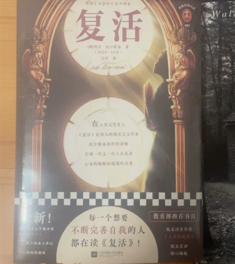 复活。列夫·托尔斯泰著作。全新未拆封。同城...
