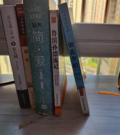 高尔基三部曲之在人间,童年。 外加简爱,鲁...