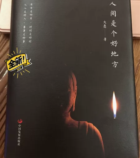 《人间是个好地方》 大愿法师 著 全新，正...