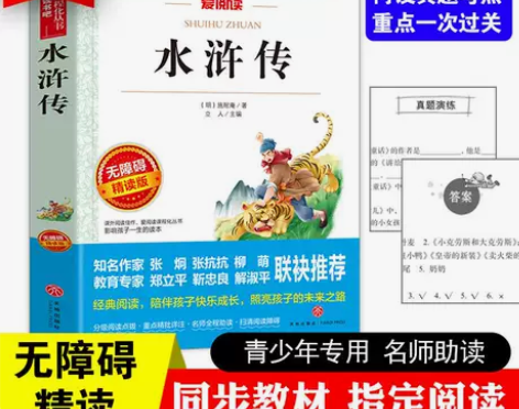 水浒传原著正版 初中学生版 九年级必读青少...