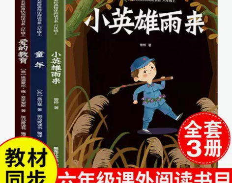 童年爱的教育小英雄雨来快乐读书吧六年级上册...