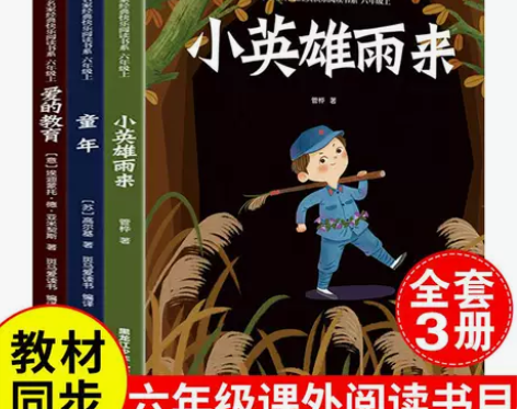童年爱的教育小英雄雨来快乐读书吧六年级上册...