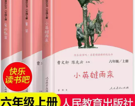 快乐读书吧六年级上册 小英雄雨来 高尔基童...