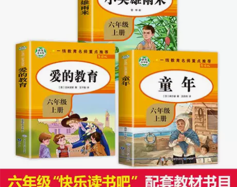 快乐读书吧六年级上册全3册童年爱的教育小学...