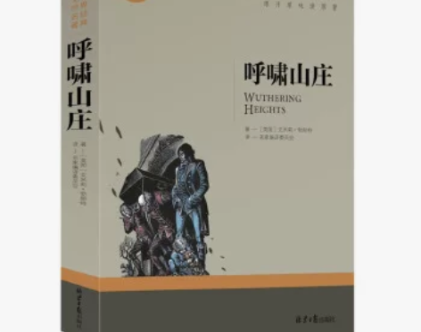 包邮【二手95新】呼啸山庄 中小学生课外阅...
