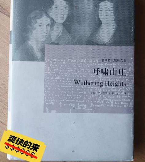 《呼啸山庄》，2013年一版一印，比较稀少...