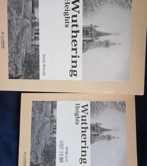 呼啸山庄英文原著+单词注解 没回来之后没看...