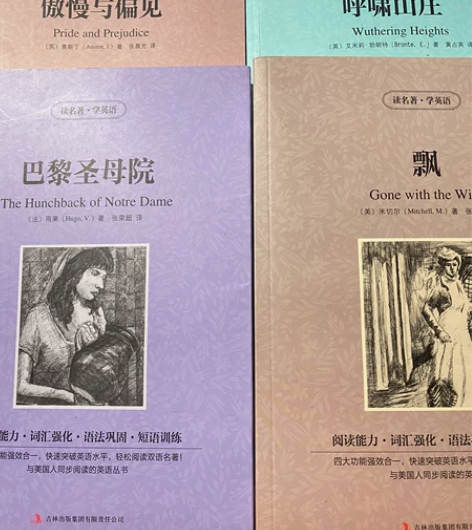 小学中学必读名著《巴黎圣母院》《傲慢与偏见...