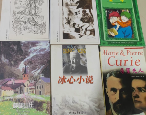 名著:童年/包法利夫人/呼啸山庄等 任意买...