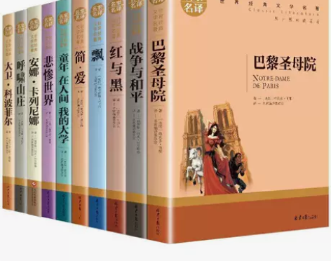 正版全30册世界经典文学名著名家名译茶花女...