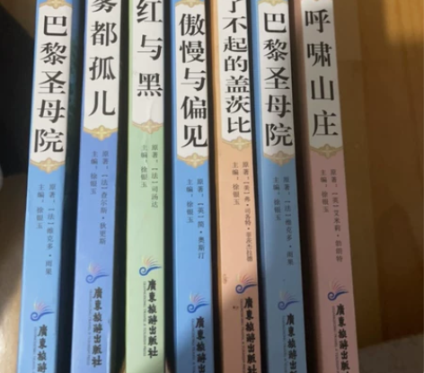 文学名著（6本） 巴黎圣母院、雾都孤儿，红...