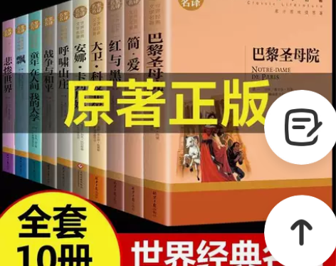 全新正版世界十大名著巴黎圣母院悲惨世界10...