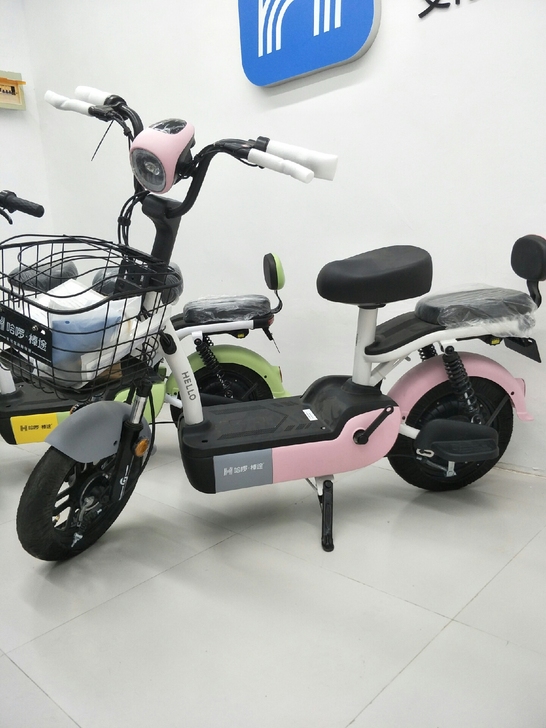 全新智能哈啰电动车
