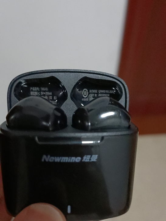 纽曼Tws-X5