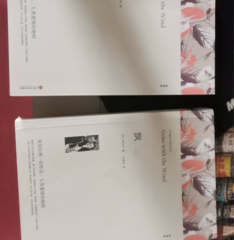 名著《飘》中文版上下两册，八成新，无笔记，...