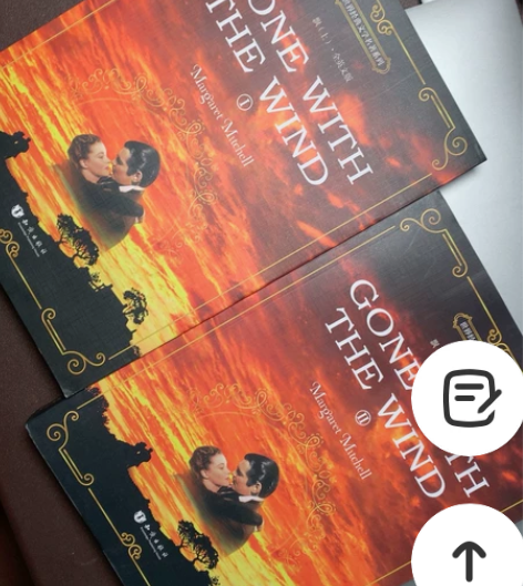 飘 英文原版 （上下两册）Gone wit...