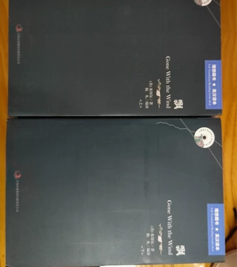飘上下册 双语读本 很厚 需要一定的耐心 ...