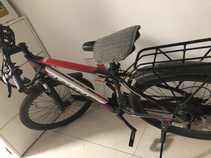 去年十一月份买的将近3000元，上班只骑了...