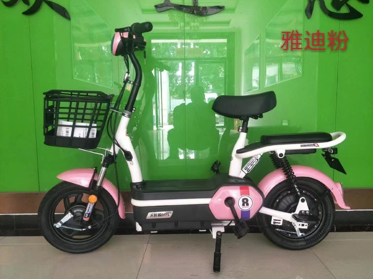 全新!顺风鸟电动车品牌货春节冲刺999特价