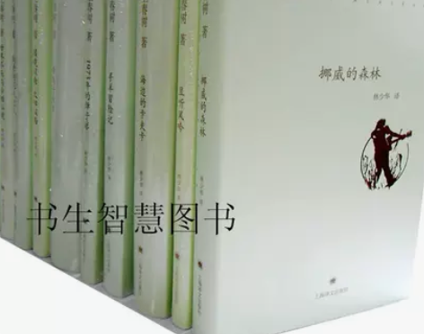 书籍挪威森林村上春树文集精装版10册 的森林
