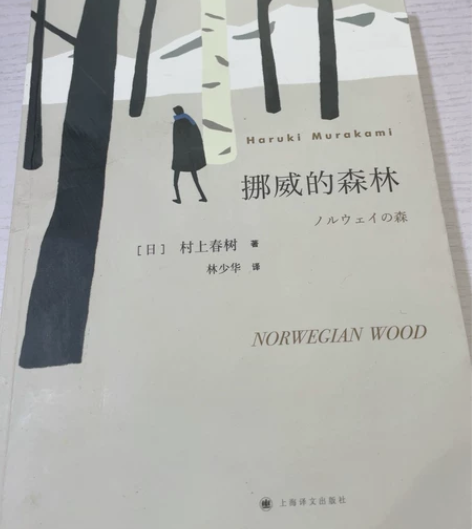 挪威的森林 感兴趣的话点“我想要”和我私聊...