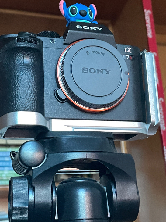 出 相机 索尼a7r2配适马2470 f2...