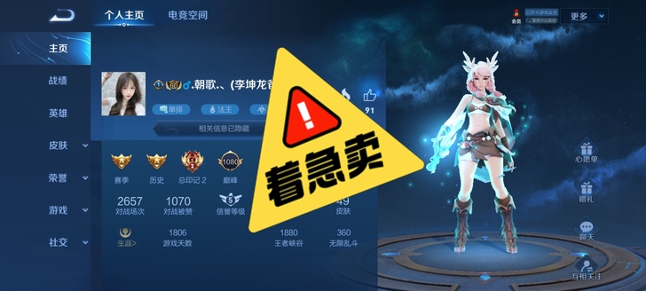 有嬴政，高渐离战队赛皮肤 ，一念神魔  ，...