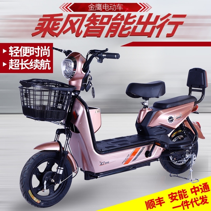 我这两款都是新国标带脚蹬带3c大证带发票，...