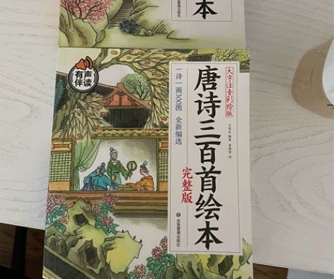 唐诗宋词三百首，2本全新，50元转包邮，不...