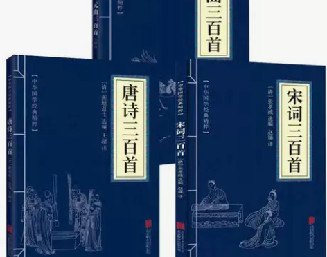 全新正版唐诗三百首+宋词三百首+元曲三百首...