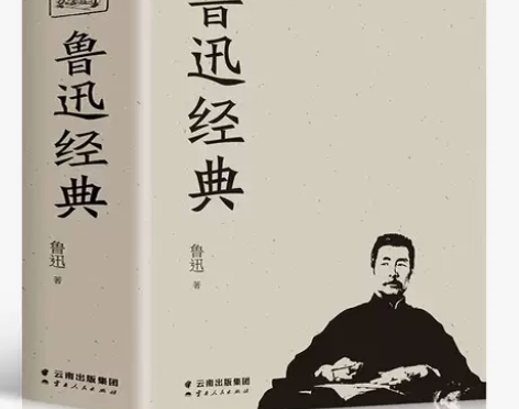 【689页】鲁迅全集正版鲁迅文集作品集杂文...