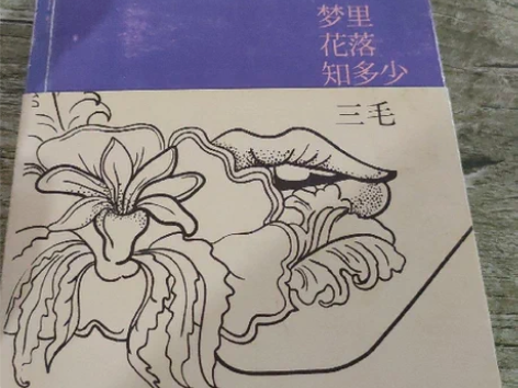正版二手梦里花落知多少三毛 著 / 北京十...