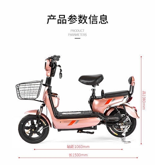 全新